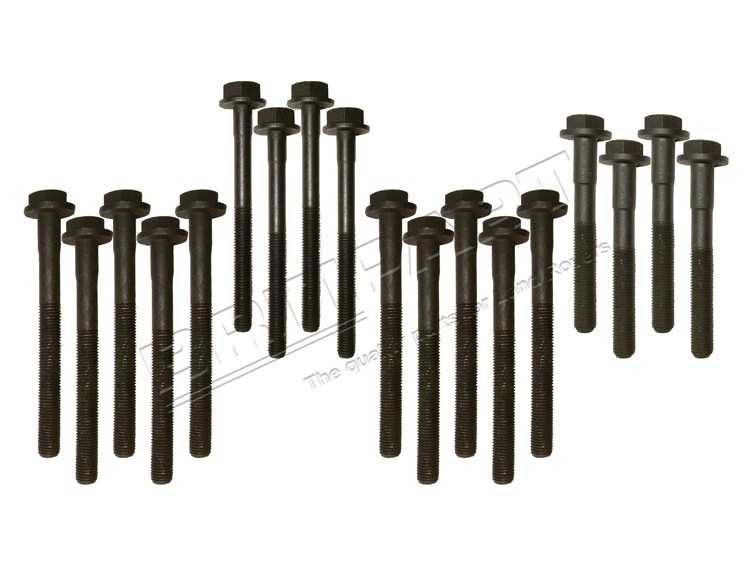 Head Bolt Set 300Tdi (Britpart) DA2005