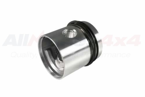 PETROL PISTON ASSY 040