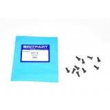 SCREW FOR FUEL SENDER UNIT (3890)