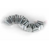 SLOTTED STEEL SCREWS