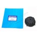 Electric Motor and Adaptor Ring -Door Mirror NON Memory type only CRP500031