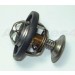 THERMOSTAT 300 TDI