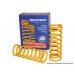 Britpart Yellow Lifted Rear Springs +40mm +100KG (Britpart) DA4204