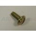 FLOOR SCREW (320045)