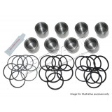 Front Stainless Steel Brake Pistons And Seals Kit From Chassis no.HA701010 (200TDI)