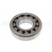 BEARING FOR FRONT HALFSHAFT (FITS IN THE REAR OF SWIVEL HOUSING)